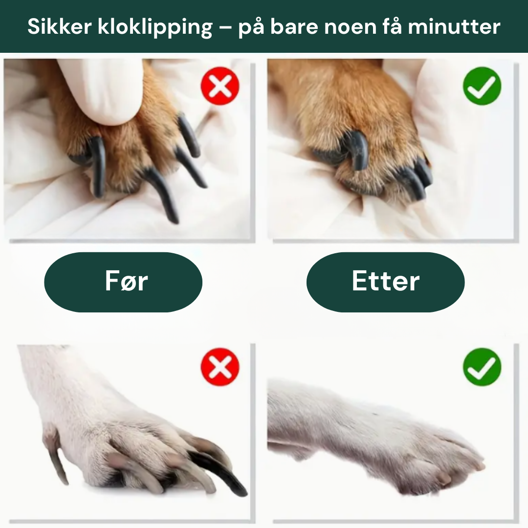 Spar både penger og nerver –